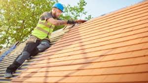 Best Storm Damage Roof Repair  in Goliad, TX