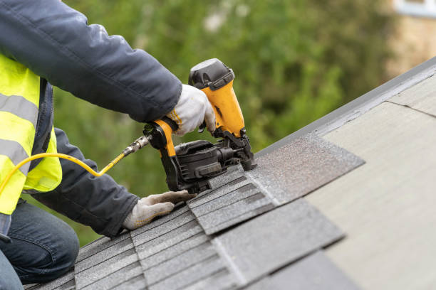 Best Roof Moss and Algae Removal  in Goliad, TX